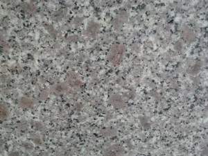 granite tím hoa cà