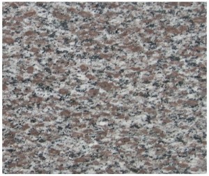 granite tím tân dân